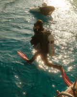 Daily Diving 1 Dive
