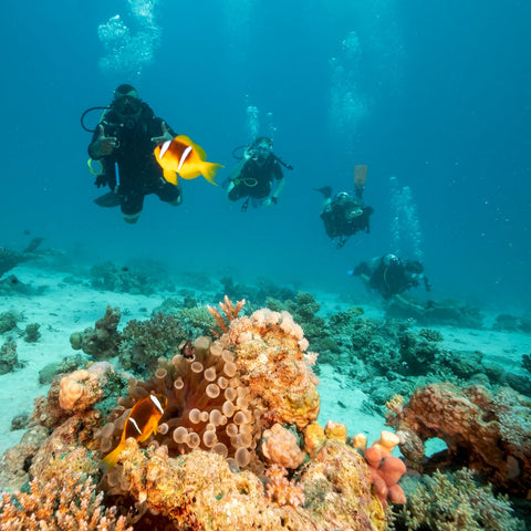 Peak Performance Buoyancy — 2 Dives PADI Specialty