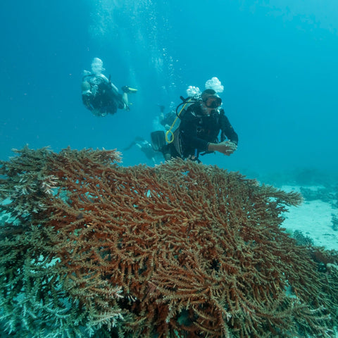 PADI Enriched Air Nitrox Diver