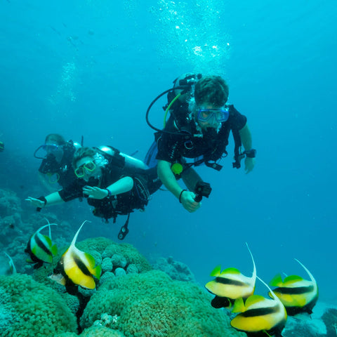 Snorkeling stop