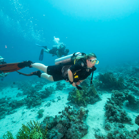 Snorkeling on a Red Sea reef