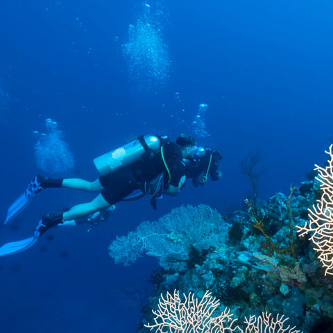 PADI Adventure Diver