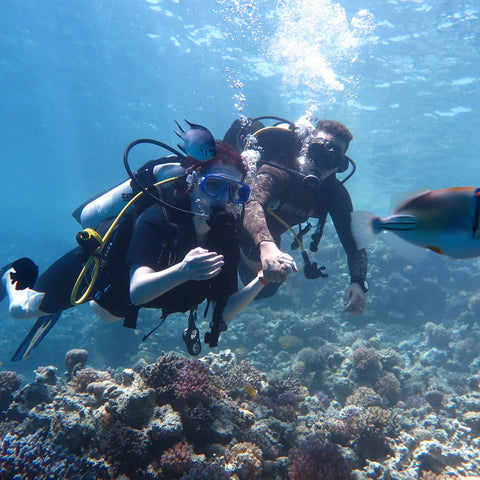 PADI Open Water Diver