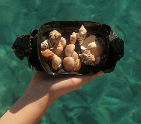 Orange Bay | Full-Day Island & Snorkeling Trip