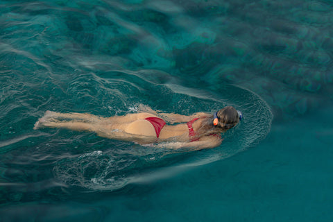 Dolphin Adventure Cruise (Summer Season)