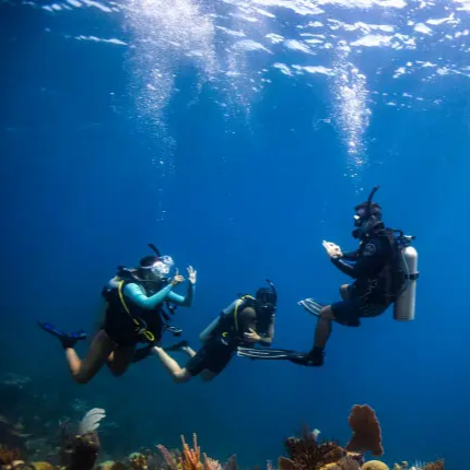 PADI Scuba Diver to Open Water Upgrade