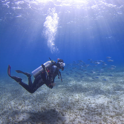 PADI Scuba Diver